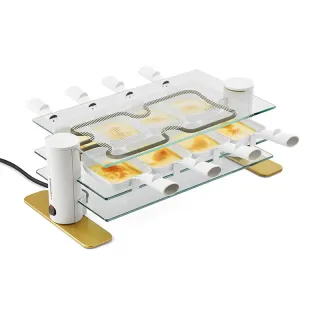 Raclette 8 Transparence® Art déco