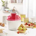 Sorbetière Framboise Reconditionnée