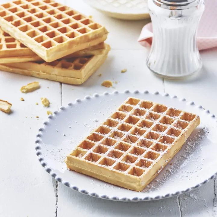 Super 2 Lagrange - Reversible Electric Waffle Maker