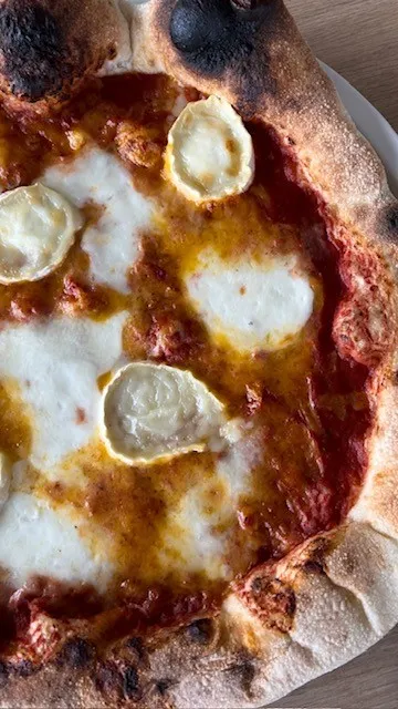 1-Four à pizza